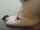 camgirl amateur nasty