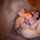 milf s xy hard