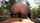 asian mask public