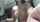 camgirl amateur big boobs