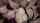 gangbang gargling missionary