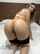 phat ass big booty latina