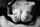 tits titfuck big tits
