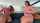 bbw blowjob sloppy