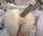 camgirl anal dildo
