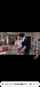 jav milf big breast