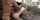 hot blonde bangbros doggy