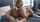 lesbian dildo anal