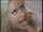 blonde blond facial