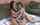 tattoos tattoo strapon
