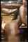 ebony amateur doggystyle