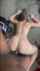 pawg bbc backshots