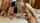 cuckold beta male cheat
