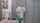 lesbian caught locker room