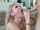 blonde cumshot milf