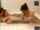 big butt big tits cumshot