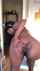 ebony amateur bigass