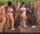 brazzers amateur bigass