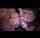 amateur onlyfans jav