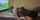 webcam white big breasts