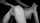 brunette finger spanking