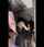 amateur doggy jav