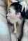 blowjob deepthroat hardcore
