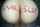 bodywriting ass anal