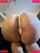 ass juicy ass fuckable ass