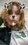 camgirl amateur brazilian