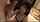 japanese jav handjob