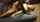 cuckold interracial hotwife