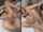 threesome ffm handjob
