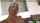 blonde cuckold bbc
