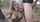bimbo ebony fake tits huge tits