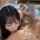 licking handjob japanese