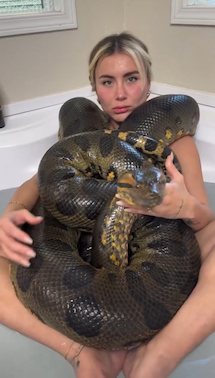 What is the name of this blonde white pornstar? (1 reply) #1674906 ...